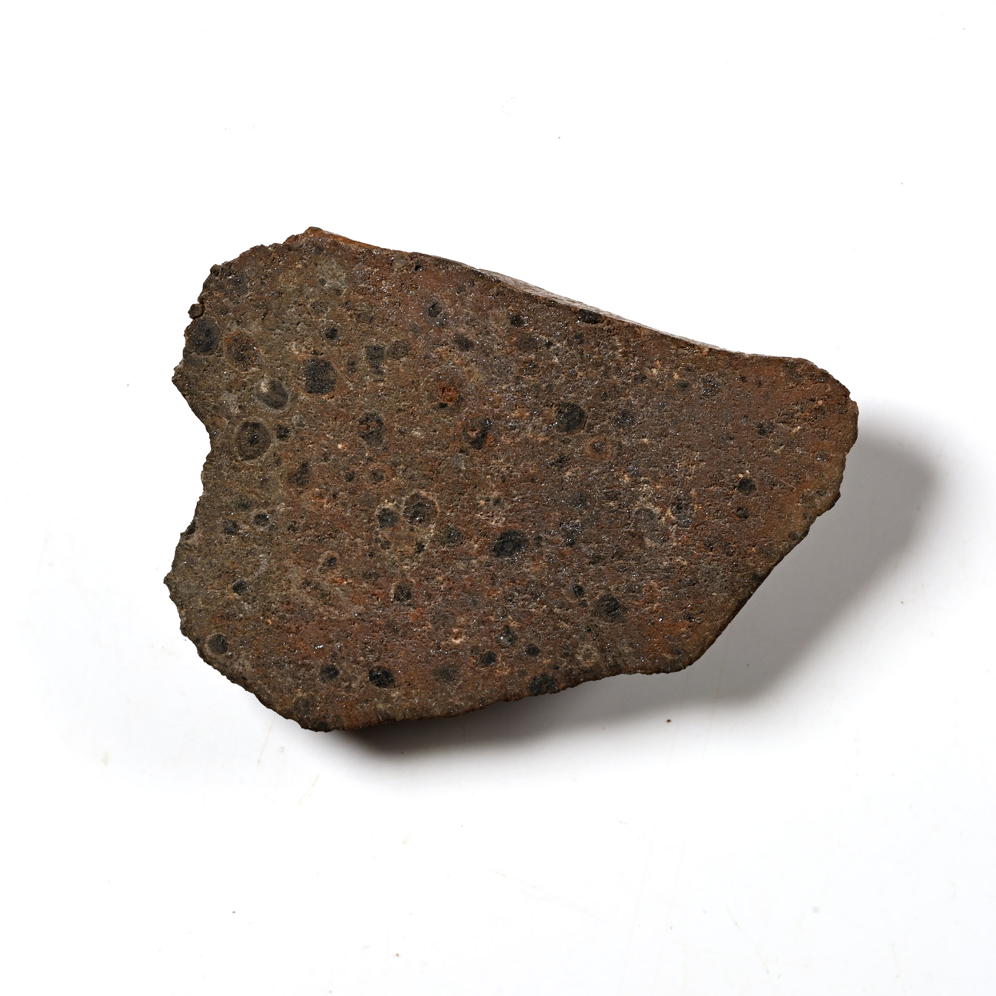 Natural History - Carbonaceous CK 4/5 NWA 4026 Meteorite Slice
